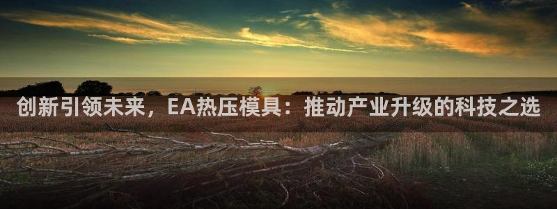 易倍申安理申区别：创新引领未来，EA热压模具：推动产业升