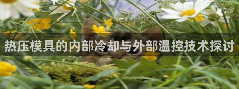 易倍单词如何下载：热压模具的内部冷却与外部温控技术探讨