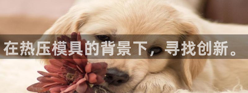 emc易贝体育怎么样：在热压模具的背景下，寻找创新。