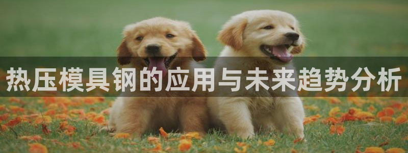 易倍申生产厂家：热压模具钢的应用与未来趋势分析