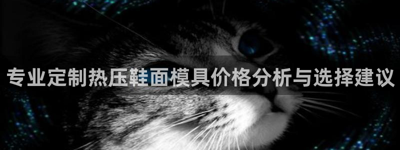 EMC倍频是什么意思：专业定制热压鞋面模具价格分析与选择