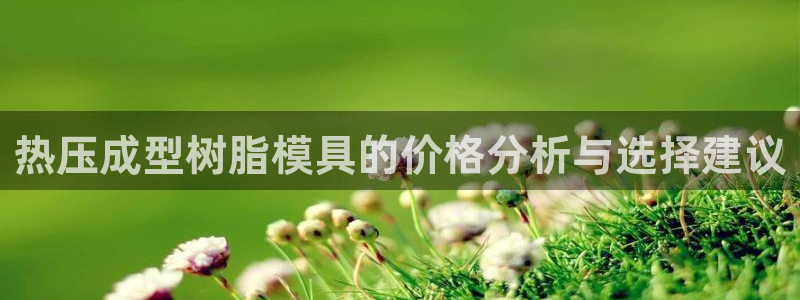 emc app下载：热压成型树脂模具的价格分析与选择建议