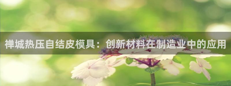 emc易倍网站是多少:禅城热压自结皮模具:创新材料在制造