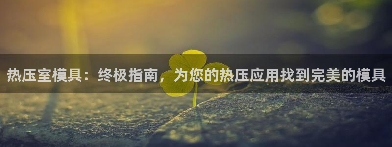 易倍单词登录网站:热压室模具:终极指南,为您的热压应用找