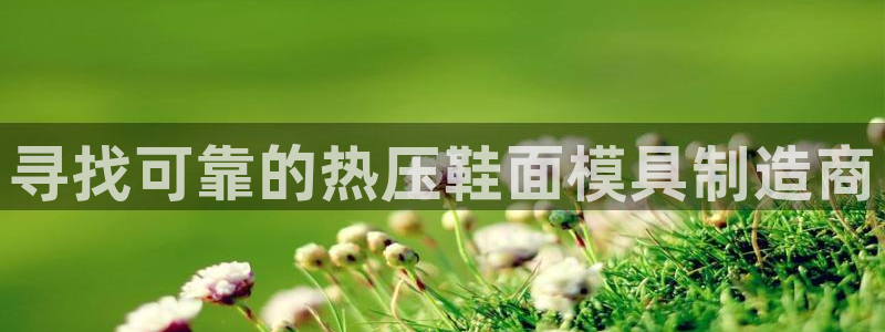 易倍申有用吗：寻找可靠的热压鞋面模具制造商