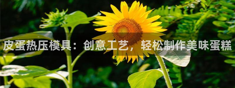 易倍单词登录平台：皮蛋热压模具：创意工艺，轻松制作美味蛋