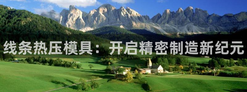 易倍纤能减肥吗：线条热压模具：开启精密制造新纪元