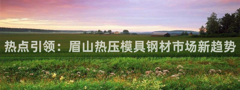 上海易倍投资有限公司:热点引领:眉山热压模具钢材市场新趋