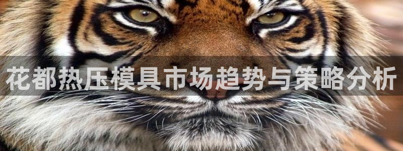 易倍企业管理软件怎么样:花都热压模具市场趋势与策略分析