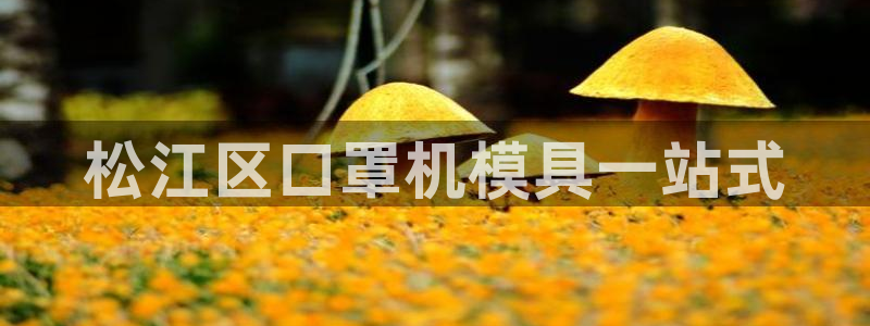 易倍单词官方网站登录