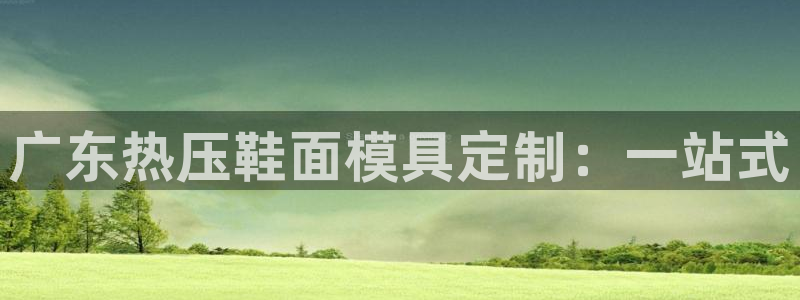 易倍全站下载：广东热压鞋面模具定制：一站式