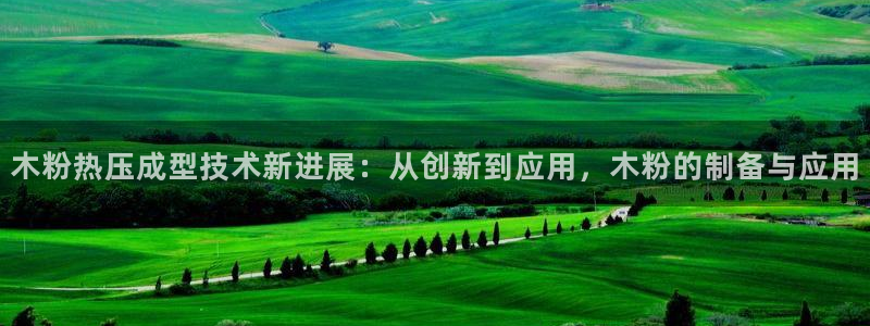 易倍下载手机版：木粉热压成型技术新进展：从创新到应用，木