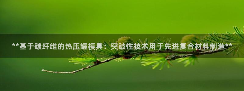 易倍申有用吗：**基于碳纤维的热压罐模具：突破性技术用于