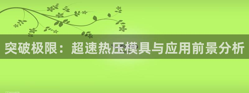 易倍网络技术有限公司是干嘛的:突破极限:超速热压模具与应
