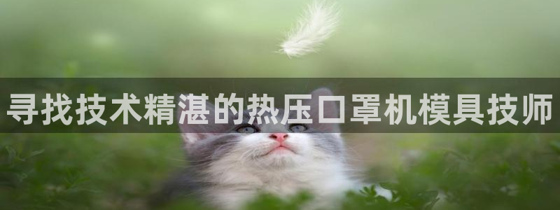 易倍单词官方网站的