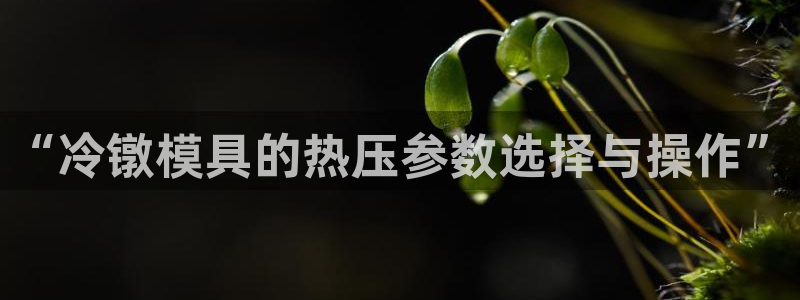 emc易倍首存500送球衣